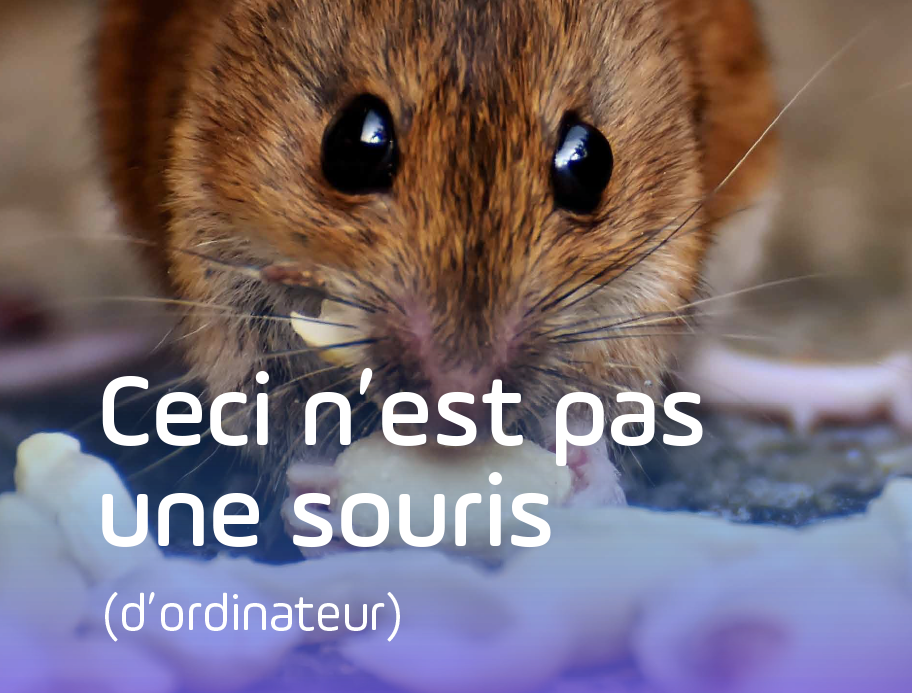 Pix - Ceci n'est pas une souris (informatique)