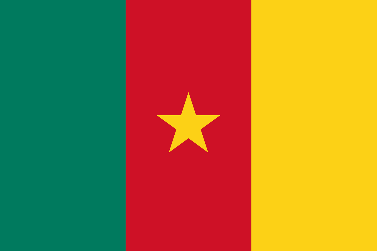 Cameroun flag