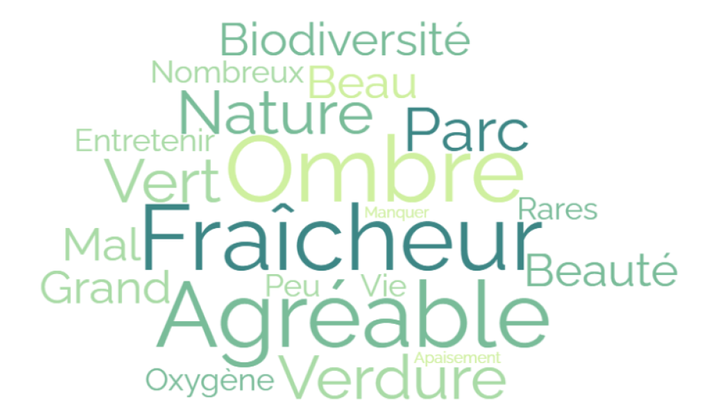 Extrait du rapport de synthèse "nuage des mots les plus fréquemment proposés pour parler des arbres du quartier"- Carla Messina