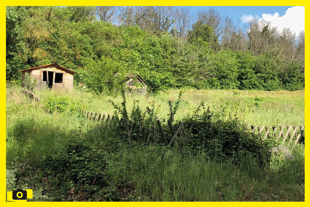 Porte des Alpes - le jardin partagé en friche (confinement)