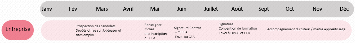 Schéma : les étapes de l'alternance - entreprises