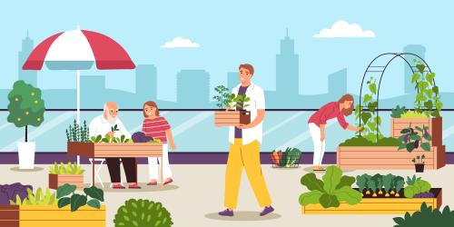 Illustration agriculture urbaine