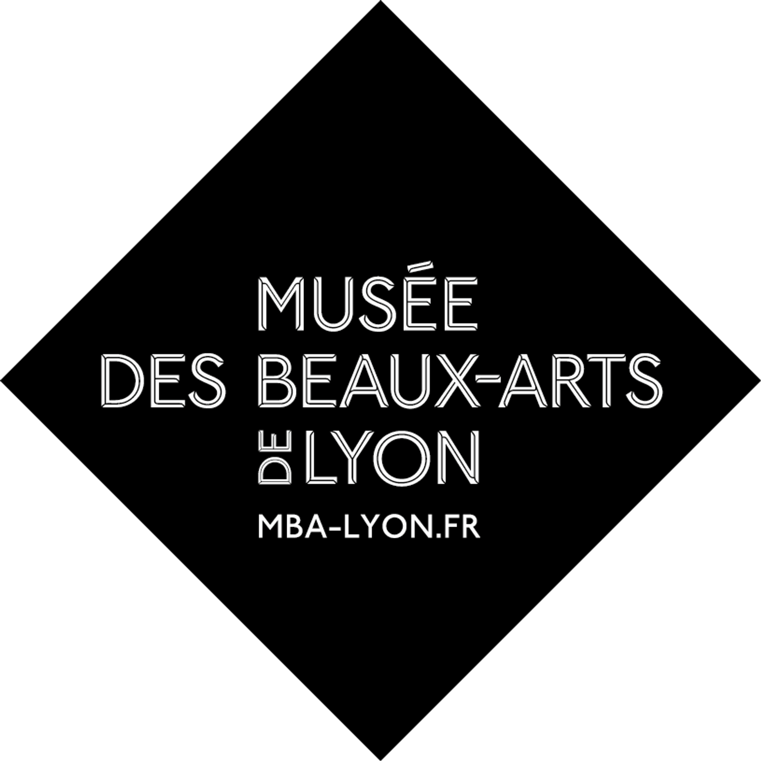 Musée des Beaux-Arts de Lyon