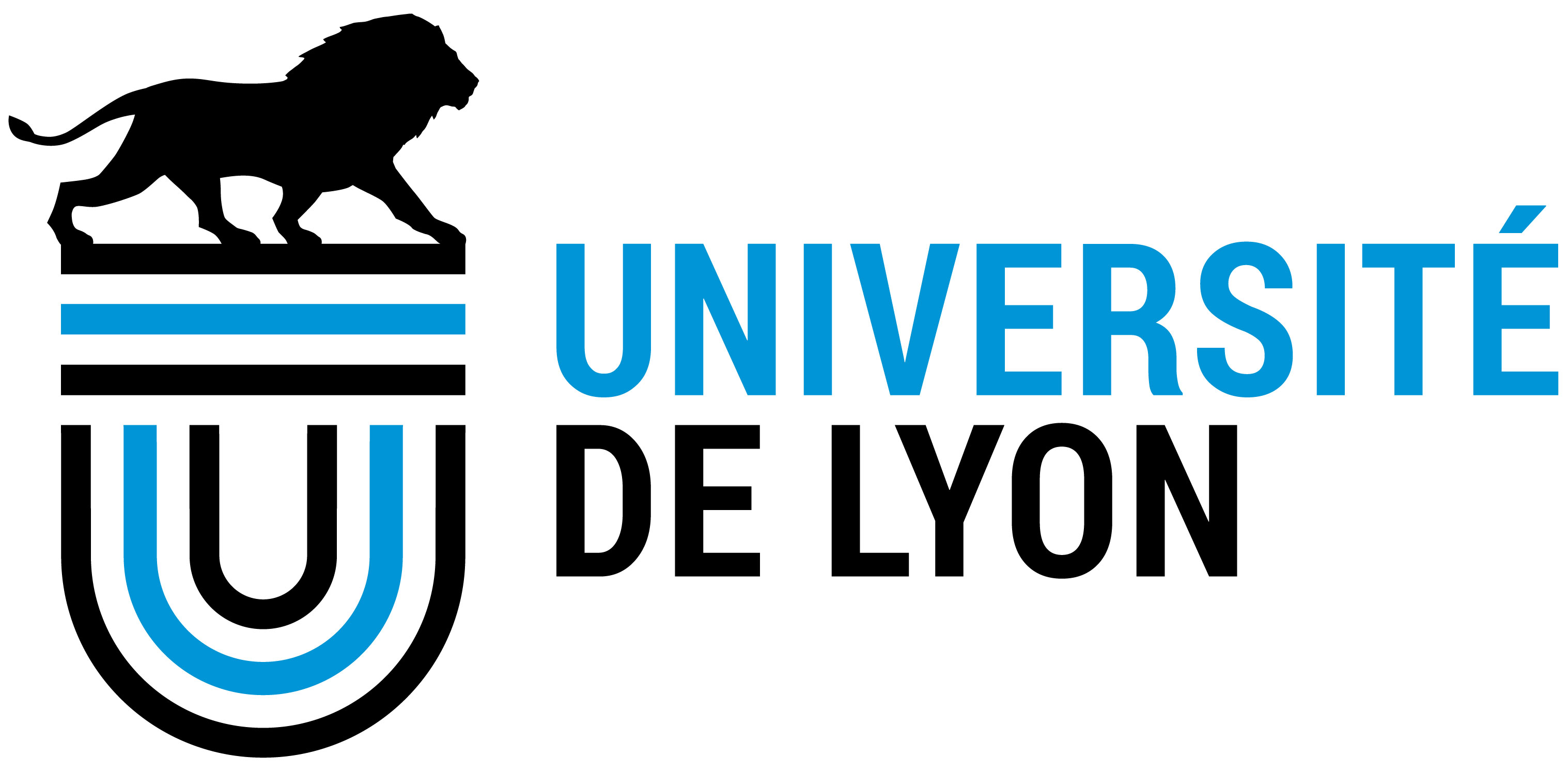 Université de Lyon