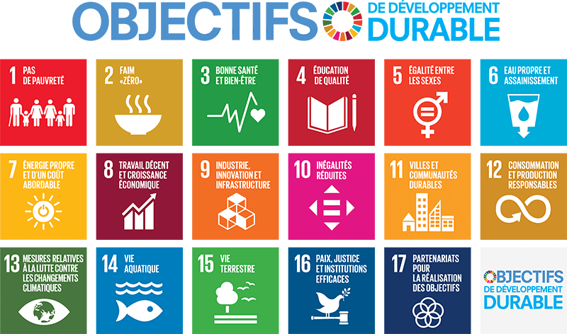 Objectifs développement durable (ONU)
