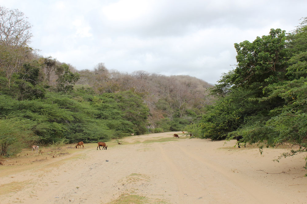 La Guajira, territoire des Wayuu