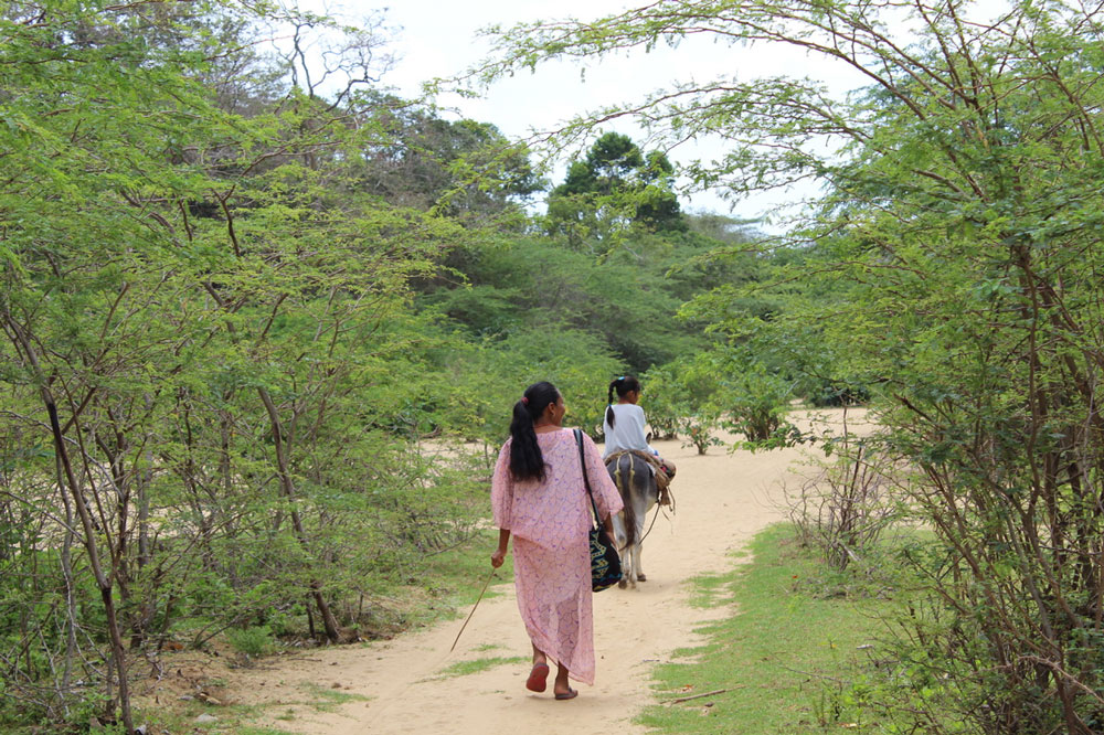 La Guajira, territoire des Wayuu