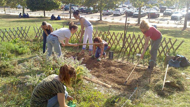 Jardin partagé